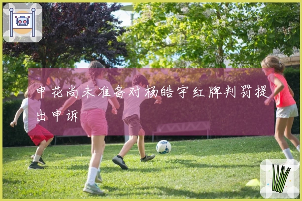 申花尚未准备对杨皓宇红牌判罚提出申诉