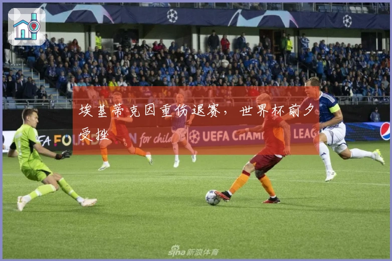 埃基蒂克因重伤退赛，世界杯前夕受挫