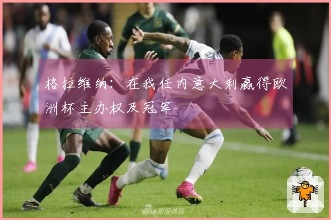 格拉维纳：在我任内意大利赢得欧洲杯主办权及冠军