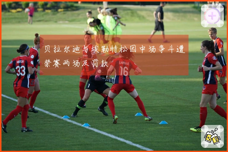 贝拉尔迪与埃勒特松因中场争斗遭禁赛两场及罚款