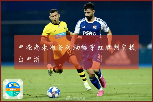 申花尚未准备对杨皓宇红牌判罚提出申诉